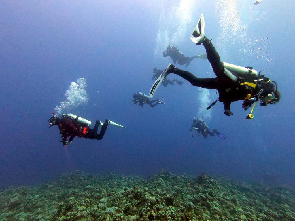 Tauchausbildung seasub Köln Group_dive