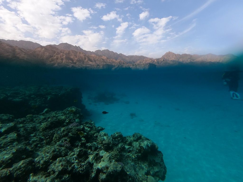 Tauchschule Köln über und unter Wasser